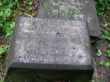 image of grave number 484052